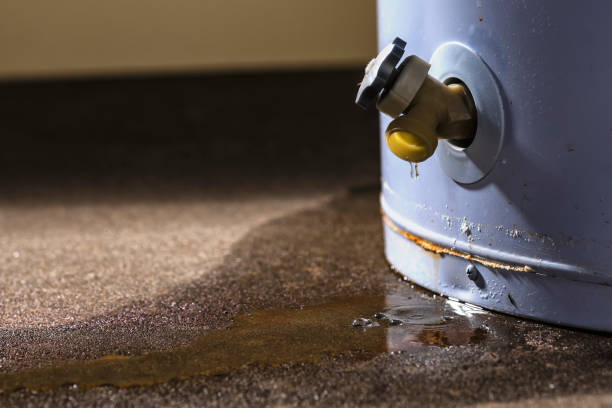 Best Mold removal after water damage  in Selinsgrove, PA