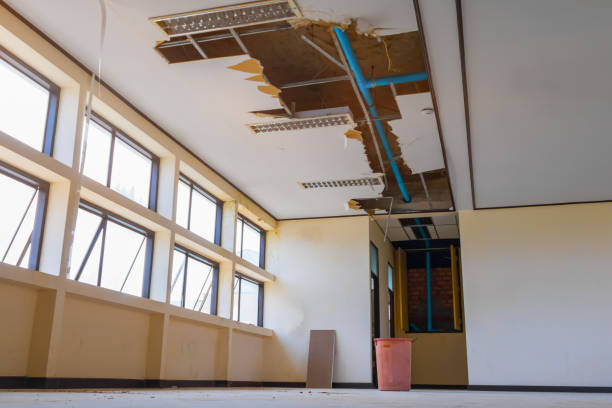 Best Water damage cleanup near me  in Selinsgrove, PA