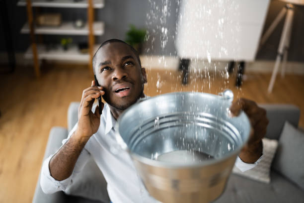 Best Residential water damage restoration  in Selinsgrove, PA