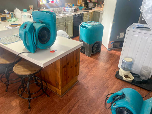 Best Residential water damage restoration  in Selinsgrove, PA