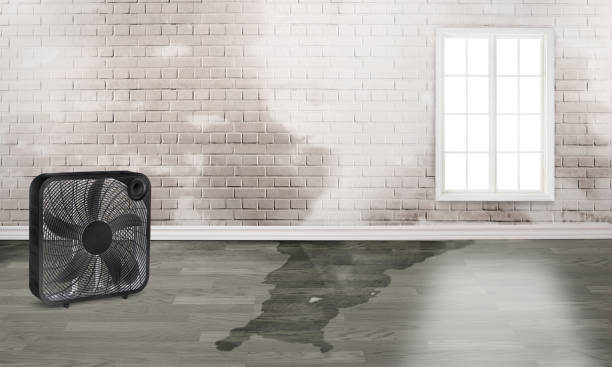 Best Sewage cleanup and water damage restoration  in Selinsgrove, PA