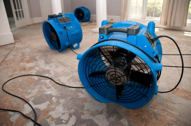 Best 24/7 water damage repair  in Selinsgrove, PA