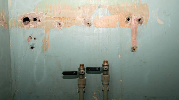 Best Water damage contractors near me  in Selinsgrove, PA