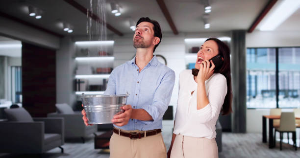 Best Basement water damage restoration  in Selinsgrove, PA