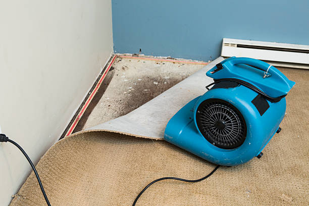 Best Emergency water damage restoration  in Selinsgrove, PA